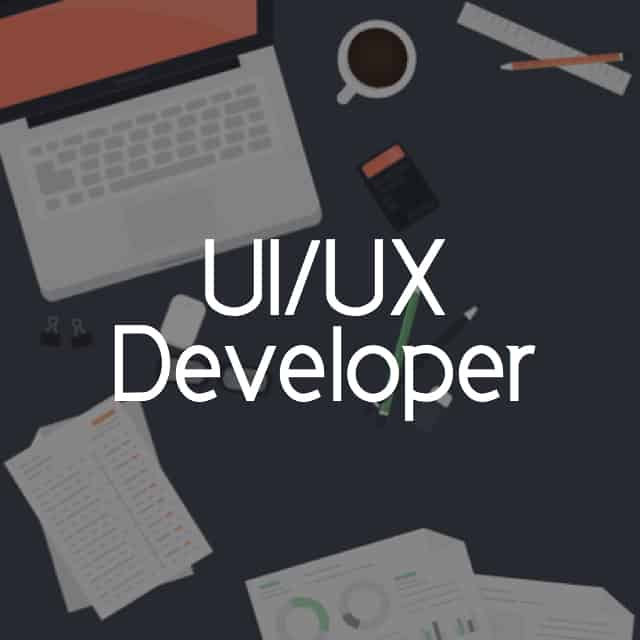 UI/UX Developer